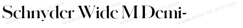 Schnyder Wide M Demi字体转换